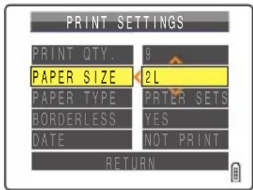 PRINT SETTINGS PRINT QTY. 9 PAPER SIZE 2L PAPER TYPE PRINTER SETS BORDERLESS YES DATE NOT PRINT RETURN