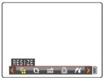 RESIZE