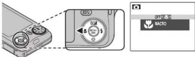 FUJIFILM FinePix JX250 - Macro Mode (Close-ups) - 1