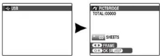 FUJIFILM FinePix JX250 - Connecting the Camera - 2