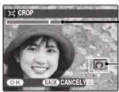 FUJIFILM FinePix JX250 - CROP - 2