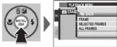 FUJIFILM FinePix JX520 - Deleting Pictures - 1