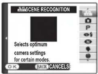 FUJIFILM FinePix JX580 - Choosing a Shooting Mode - 3
