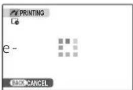 FUJIFILM FinePix S1700 - During Printing - 1