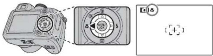 FUJIFILM FinePix S1800 - Macro and Super Macro Modes (Close-ups) - 1