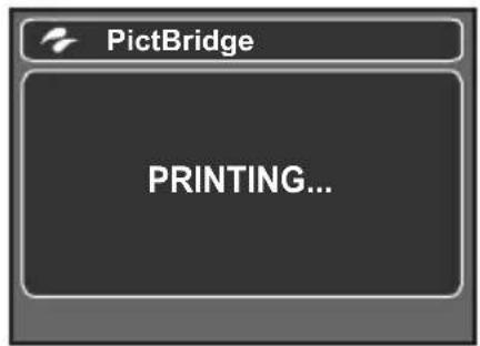 HITACHI HDC-561E - Printing images - 5