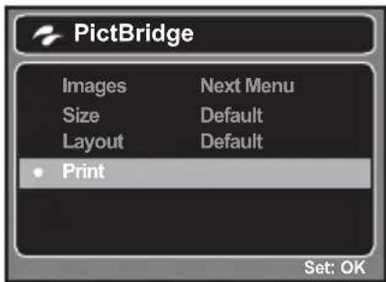 HITACHI HDC-571E - Printing images - 5