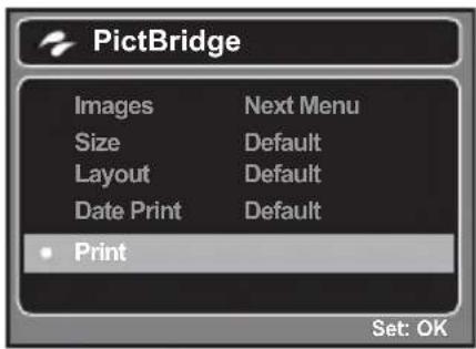 HITACHI HDC-881E - Printing images - 4
