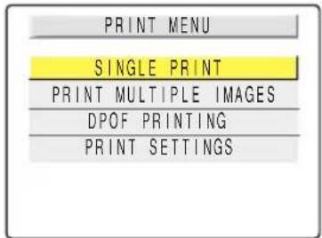 KYOCERA Finecam M400R - Printing individual images - 1