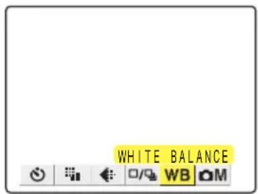 KYOCERA Finecam M400R - [WB] Selecting the Light Source (White Balance) - 1