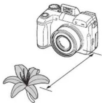 KYOCERA Finecam M400R - Macro Mode - 2