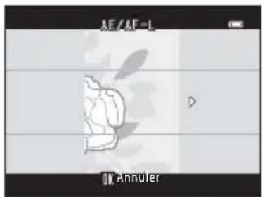 AE/AF-L Annuler
