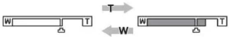 T W W