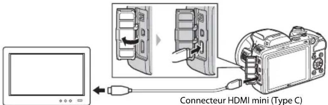 Connecteur HDMI mini (Type C)