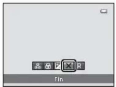 Fin