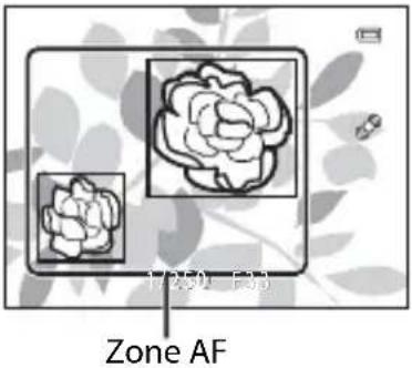 NIKON Coolpix S8200 - Mode de zones AF - 6