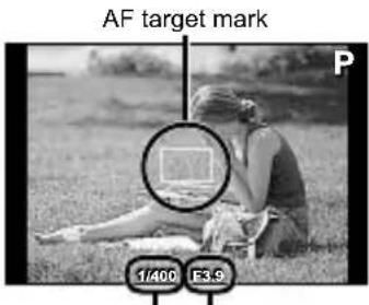 OLYMPUS Tough TG-620 - Press the shutter button halfway down to focus on the subject. - 3