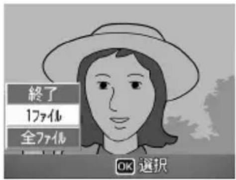 終了 1ファイル 全ファイル OK 選択