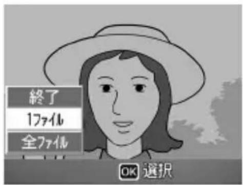 終了 1ファイル 全ファイル OK 選択