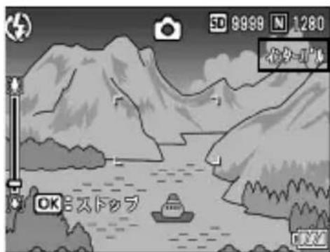 SD 9999 N 1280 小ヶ-7ル OK ミスドゥラ