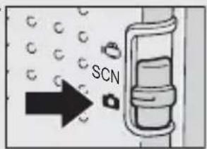 SCN