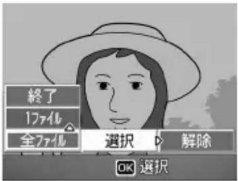 終了 1ファイル 全ファイル 選択 解除 OK 選択