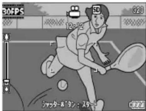 30FPS 920 12=12 シャッターおタン:スター