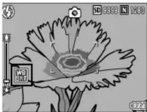 RICOH Caplio R5 - (WB-BKT:ホワイトバランスブラケット) - 2