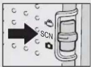 SCN
