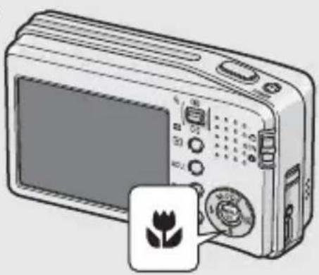 RICOH Caplio R5 - シャッターボタンを押し切る - 1