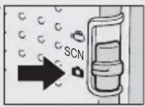 SCN
