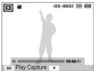 100-0002 00:00:11 OK Play Capture