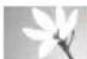 SAMSUNG ST80 - Photographier des actions - 1
