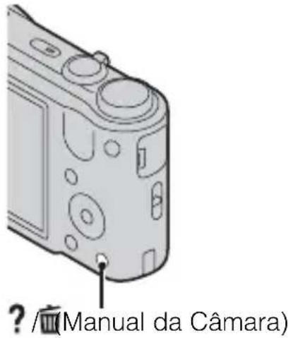 ? / (Manual da Câmara)