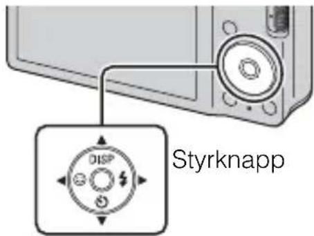 Styrknapp