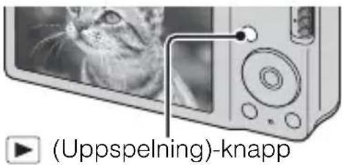 (Uppspelning)-knapp