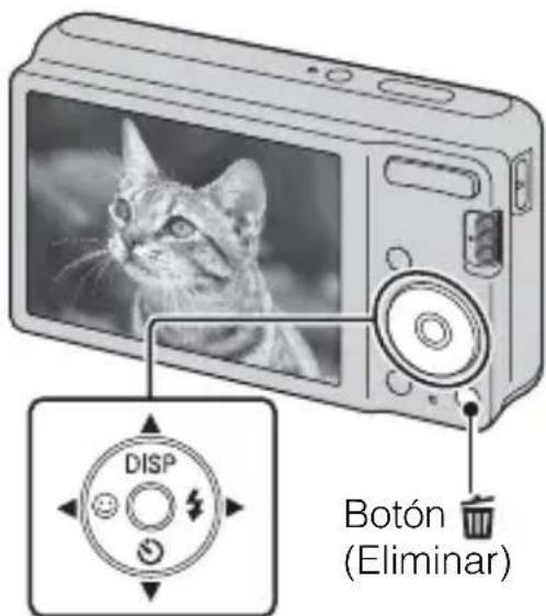 DISP Botón (Eliminar)