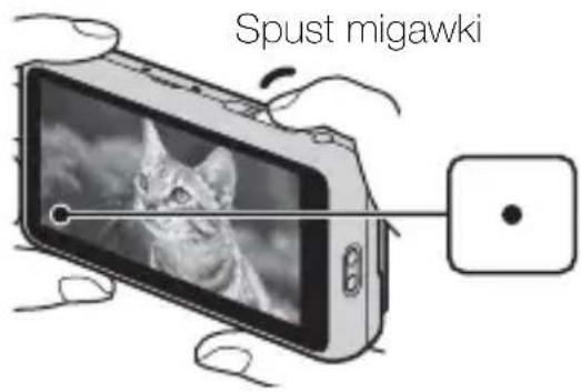 Spust migawki