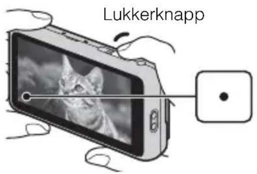 Lukkerknapp