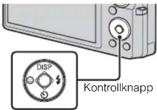 DISP Kontrollknapp