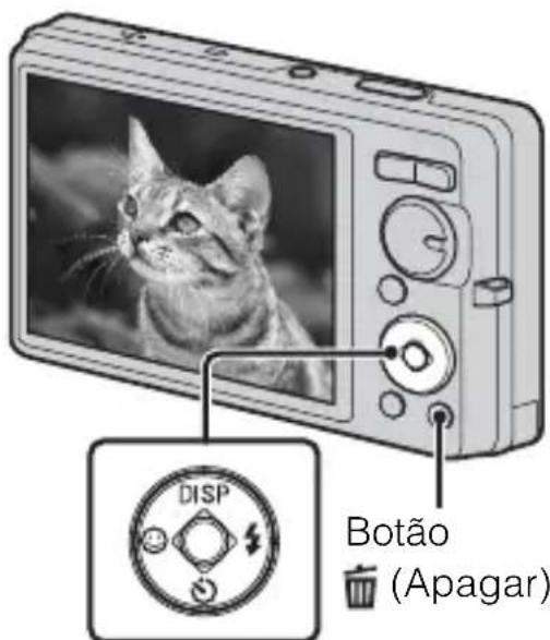 DISP Botão (Apagar)