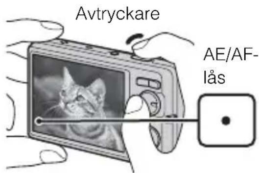 Avtryckare AE/AF- lås