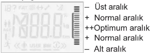BOSCH PPW2360 AxxenceAnalysis Graphic - Kullanıcı tanındı - 1