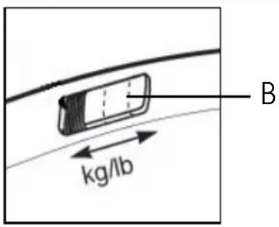 B kg/lb