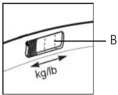 B kg/lb