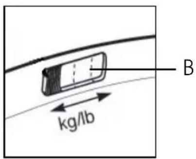 B kg/lb