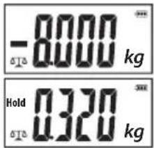 -8000 kg Hold 0.320 kg