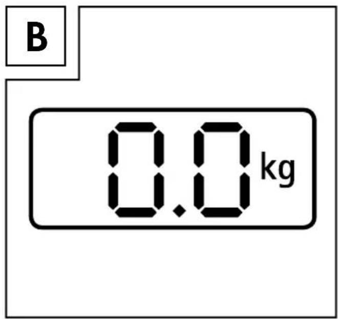 B 0.0 kg