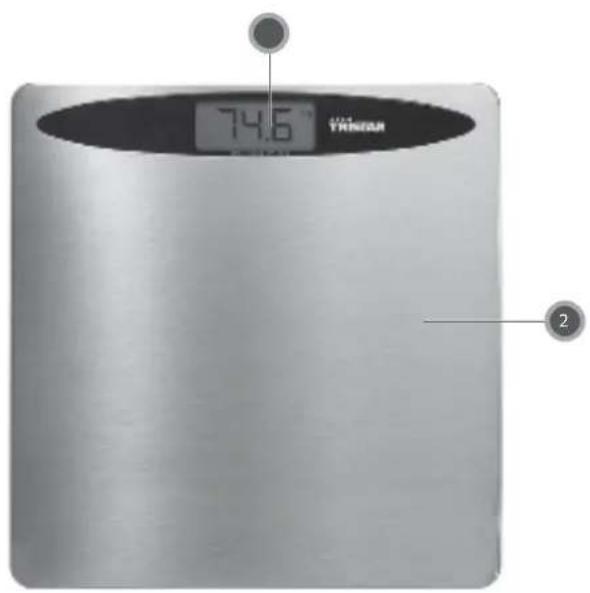 TRISTAR WG-2423 - 5