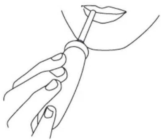 Waterpik WP-110 - When Finished - 1